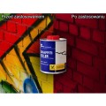 PRIMACOL Grafitti Killer 0,75L
