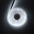 DESIGN LIGHT Taśma LED COB bez diod jednolita biała zimna 12,8W/m