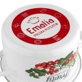 FLORINA Garnek emaliowany Emalia Polska Pleszew Kalina 16 cm 2L
