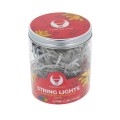 Forever Light Lampki choinkowe LED 100 lampek multikolor łańcuch świetlny