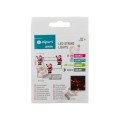 DPM Świąteczna girlanda LED Mikołaj, 20 x Mikołaj, 2 x AAA, 2,3 m