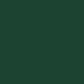 RAFIL Emalia prosto na rdzę RAL 6005 zielony półmat 0,75L