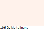 Dzikie tulipany