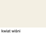 kwiat wiśni