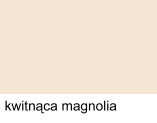 kwitnąca magnolia